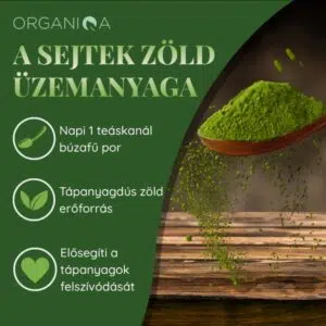 Organiqa Bio Búzafű por - 125g 7 Organiqa Bio Búzafű por - 125g - Image 4