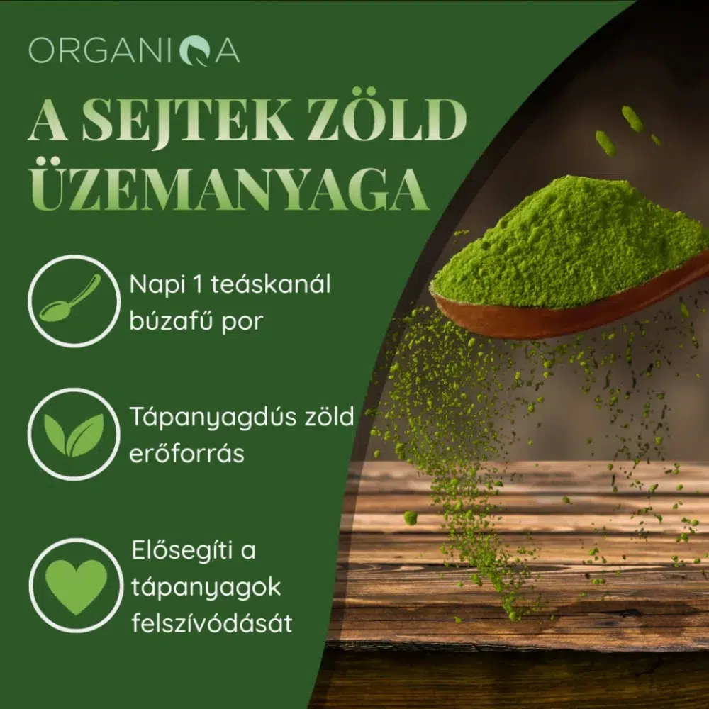 Organiqa Bio Búzafű por - 125g 4 Organiqa Bio Búzafű por - 125g - Image 4
