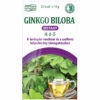 Dr. Chen ginkgo biloba instant tea - 20db