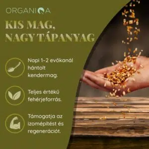 Organiqa Bio hántolt kendermag - 125g 7 Organiqa Bio hántolt kendermag - 125g - Image 4