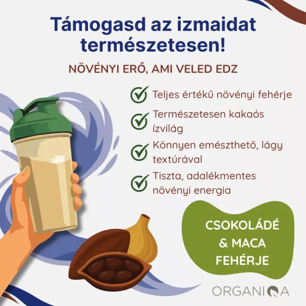 Organiqa 100% bio csokoládé-maca vegán fehérje mix - 400g 3 Organiqa 100% bio csokoládé-maca vegán fehérje mix - 400g - Image 3