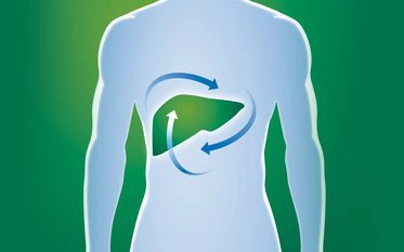 Mire keres megoldást? 10 Májméregtelenítés - VitaminNagyker.hu