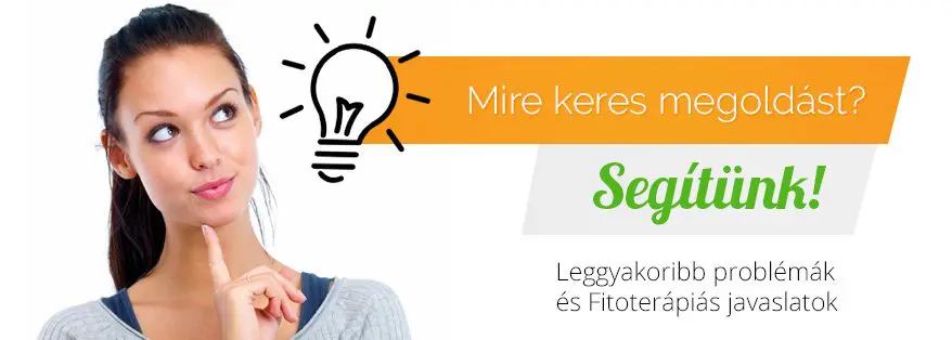 Mire keres megoldást? 1 mire keres megoldast banenr