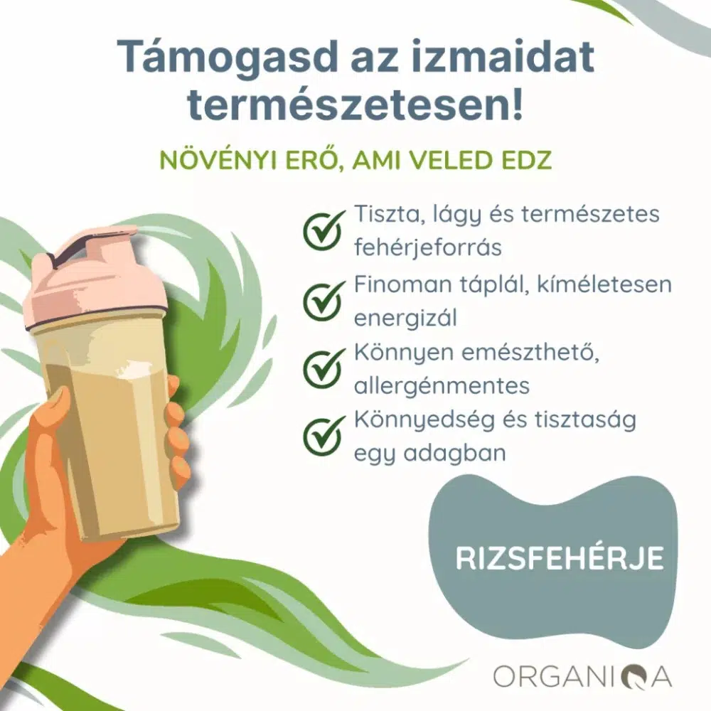 Organiqa Bio Rizsfehérje por - 200g 3 Organiqa Bio Rizsfehérje por - 200g - Image 3