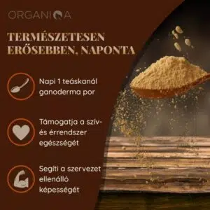 Organiqa Bio Reishi-Ganoderma por - 125g 7 Organiqa Bio Reishi-Ganoderma por - 125g - Image 4