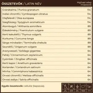 Myrobalan NoDida - candida egyensúly kapszula - 60db - Image 4