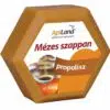 Apiland mézes, propoliszos szappan - 100g