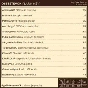 Myrobalan DranPa - agyserkentő, memóriajavító kapszula - 60db 7 Myrobalan DranPa - agyserkentő, memóriajavító kapszula - 60db - Image 4