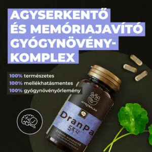 Myrobalan DranPa - agyserkentő, memóriajavító kapszula - 60db 6 Myrobalan DranPa - agyserkentő, memóriajavító kapszula - 60db