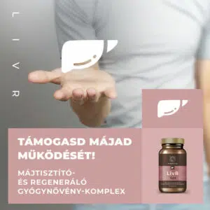 Myrobalan LivR májtisztító- és regeneráló kapszula - 60db 6 Myrobalan LivR májtisztító- és regeneráló kapszula - 60db