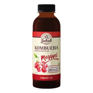 Viva Natura-Kombucha koncentrátum meggyel - 500ml