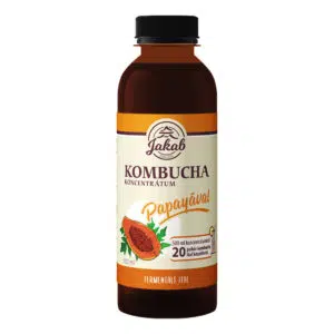 Viva Natura-Kombucha Papayás koncentrátum - 500ml