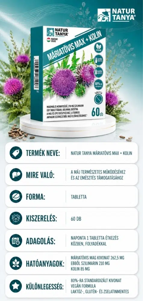 Natur Tanya Máriatövis Max + Kolin 60 db tabletta termékinformáció kártya, adagolás, összetevők, hatóanyagok, 210 mg szilimarin, 85 mg kolin