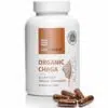 USA Medical Organic Chaga gomba kivonat kapszula - 60db