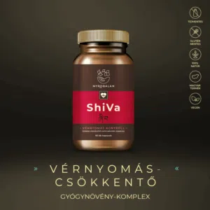 Myrobalan ShiVa - vérnyomáscsökkentő gyógynövény-komplex kapszula - 60db 5 Myrobalan ShiVa - vérnyomás csökkentő gyógynövény-komplex kapszula - 60db