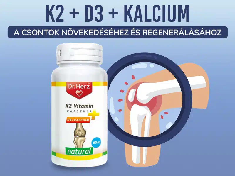 Csonterősítéshez, a csontok egészségének támogatásához válassza a Dr. Herz K2 + D3 + Kalcium kapszulát!