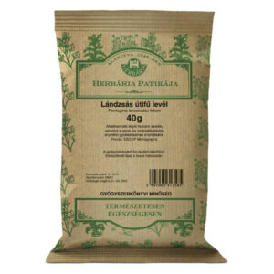 Herbária Lándzsás útifű levél tea - 40g