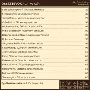 Myrobalan UriDag - hólyaghurut és húgyúti fertőzésekre kapszula - 60db 7 Myrobalan UriDag - hólyaghurut és húgyúti fertőzésekre kapszula - 60db - Image 4