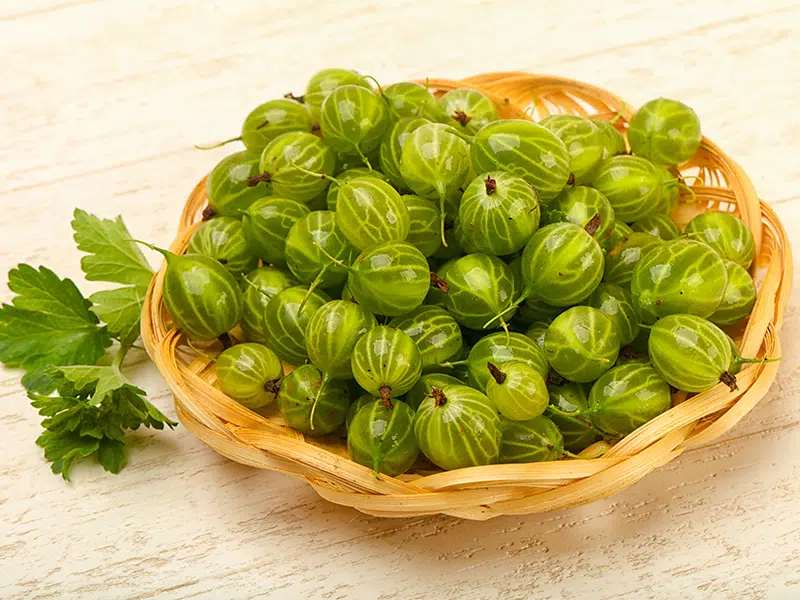 Az amla nagyon gazdag C-vitaminban, és tele van értékes antioxidánsokkal 1 Az amla nagyon gazdag C-vitaminban, és tele van értékes antioxidánsokkal