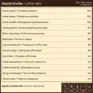Myrobalan Cleanse csomag - vér, nyirokrendszer, máj tisztító program 9 Myrobalan Cleanse csomag - vér, nyirokrendszer, máj tisztító program - Image 5