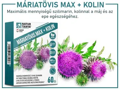 Natur Tanya Máriatövis Max + Kolin tabletta