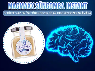 MagMaxx Süngomba Instant