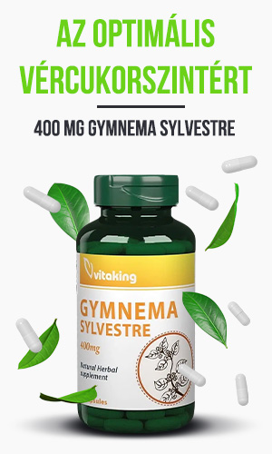 Vitaking Gymnema Sylvestre 400mg kapszula
