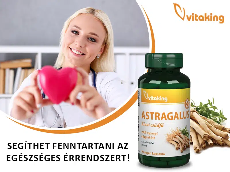 Astragalus, a csodálatos adaptogén gyógynövény! - Vitaking Astragalus kivonat kapszula 4 Astragalus, a csodálatos adaptogén gyógynövény! - Vitaking Astragalus kivonat kapszula