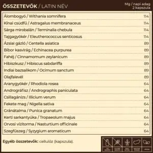 Myrobalan Vira.18 vírus és immunvédelem gyógynövény-komplex - 60db 3 Myrobalan Vira.18 vírus és immunvédelem gyógynövény-komplex - 60db - Image 2