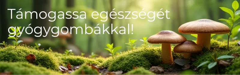 Ganoderma: Természetes immunerősítő és stresszcsökkentő gyógygomba 9 gyógygomba, ganoderma