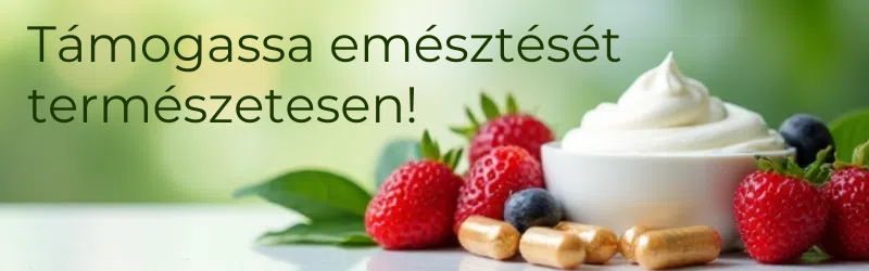 Antibiotikumok és probiotikumok: A bélflóra védelme antibiotikumos kezelés alatt 8 emésztés, probiotikumok