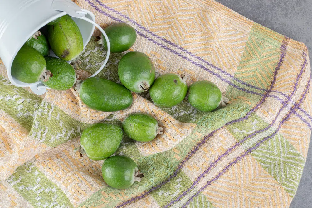 Emésztőenzim: zöld papaya az emésztés támogatásához 1 zold papaya