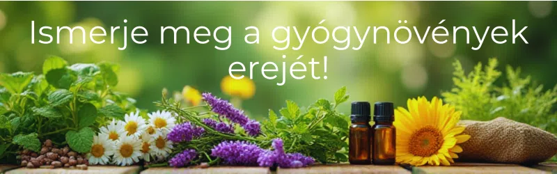 Ismerd meg a vízhajtó gyógynövények erejét is! Ismerd meg a vízhajtó gyógynövények erejét is!