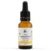 Natessence Bio Csipkebogyó CO2 kivonat - 10ml
