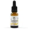 Natessence Bio Homoktövis CO2 kivonat - 10ml