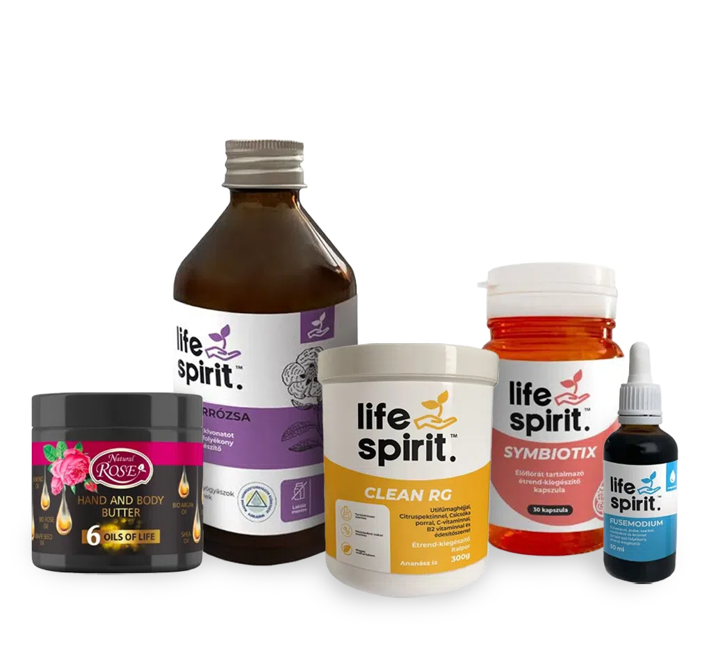 Life Spirit csoport