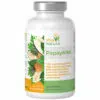 Viva Natura PapayANA kapszula - 90db