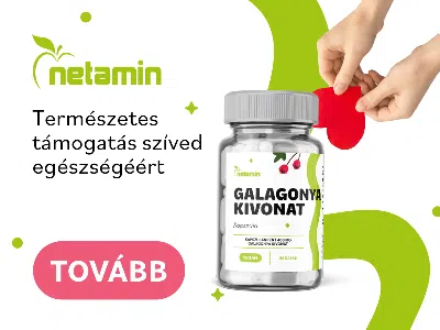 Netamin Galagonya kivonat 400mg kapszula
