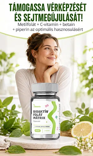 Netamin Bioaktív Folát Mátrix kapszula