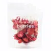Nuts&Berries Liofilizált Földieper 15g