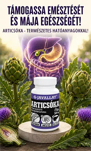 Javallat Articsóka kapszula