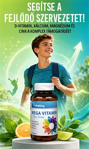 Vitaking Mega Vitamin for Teens