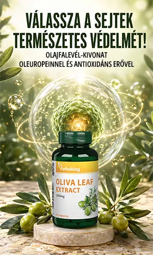 Vitaking Olajfalevél kivonat